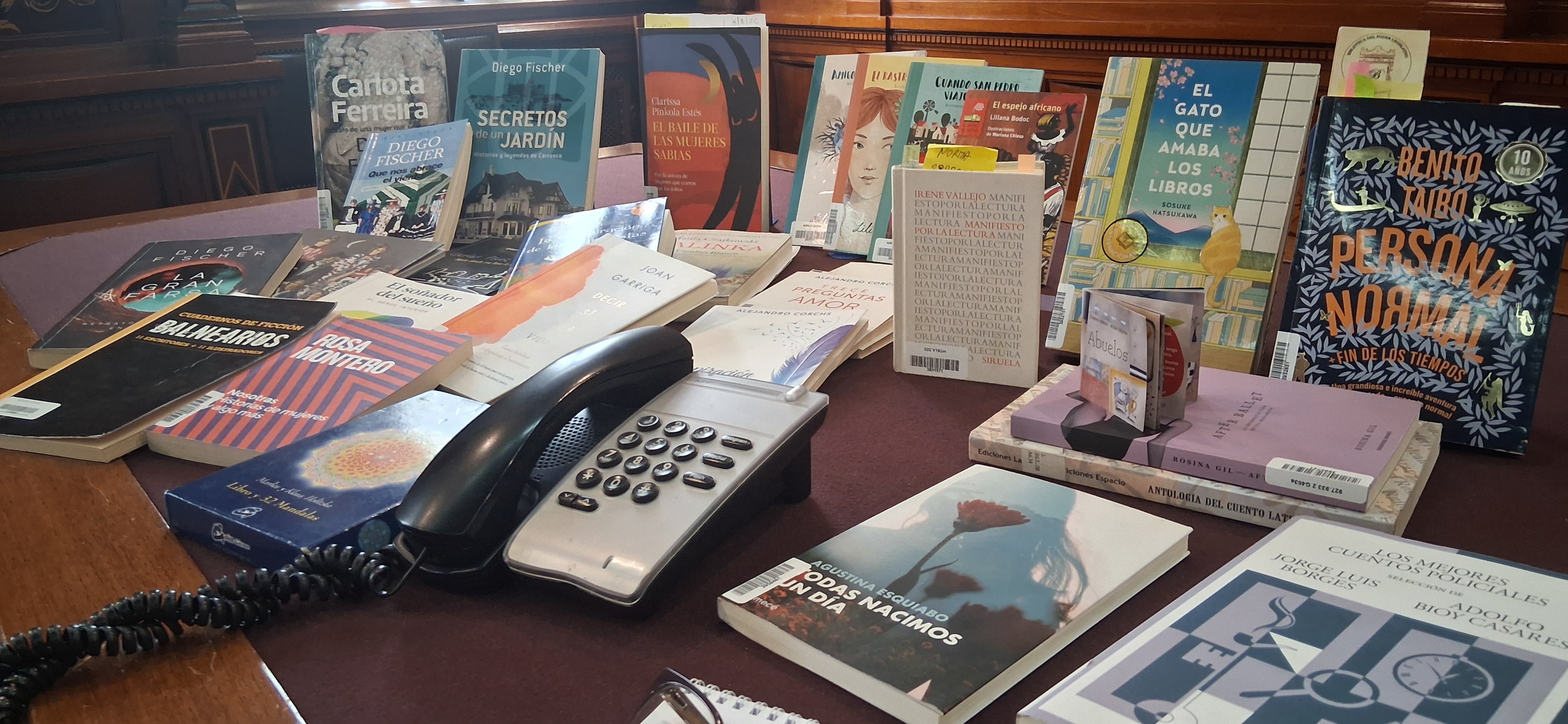 Imagen promocional de Biblioteca Móvil